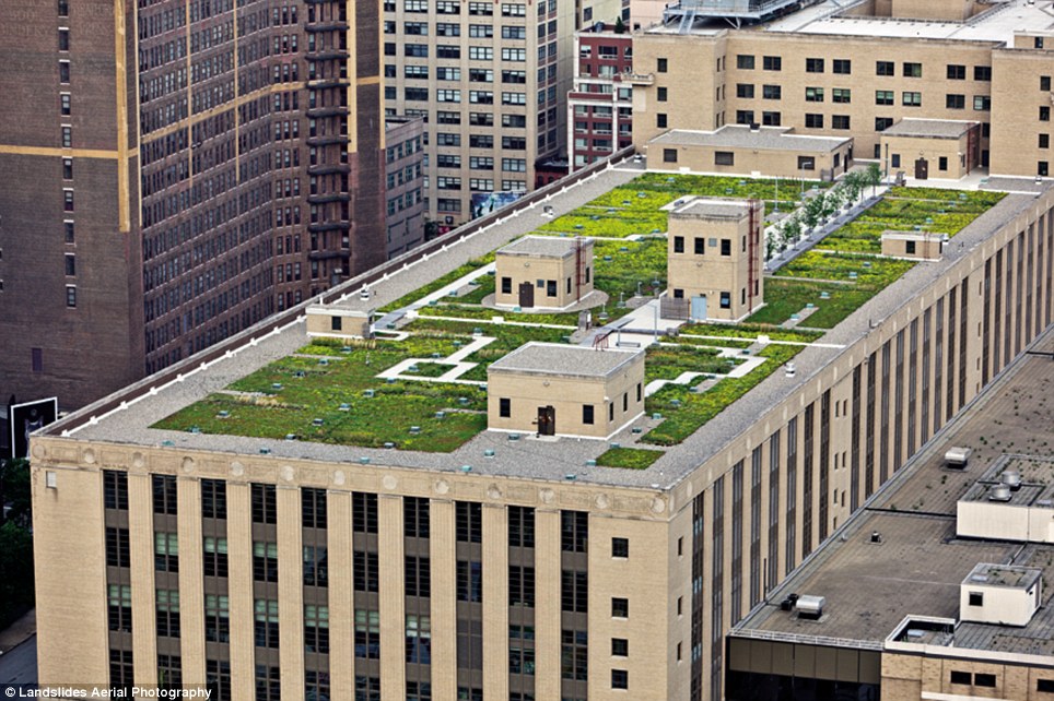 Дахи Нью-Йорка, new york roof